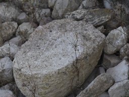 Yacimiento de la Almoloya 2023